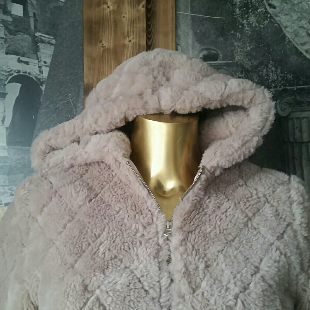 Jacket - Picture 3 of 8